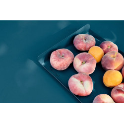 Tablett Alto aus Metall von Fermob mit Obst