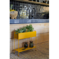 Farbiger Blumenkasten Picolino für Außen von Fermob