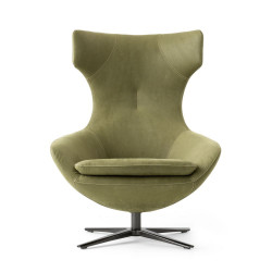 caruzzo Sessel leolux wohndesign berlin grün frontal