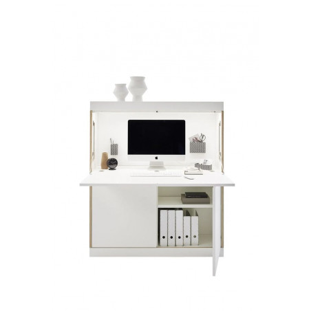 Flai Home Office Schreibtisch von Müller