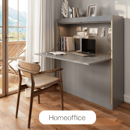 homeoffice-433-433.png